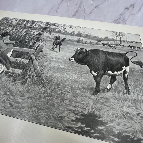 The Sick Cow - Original 1904 A.B. Frost Art Print V14-3 - Picture 2 of 2